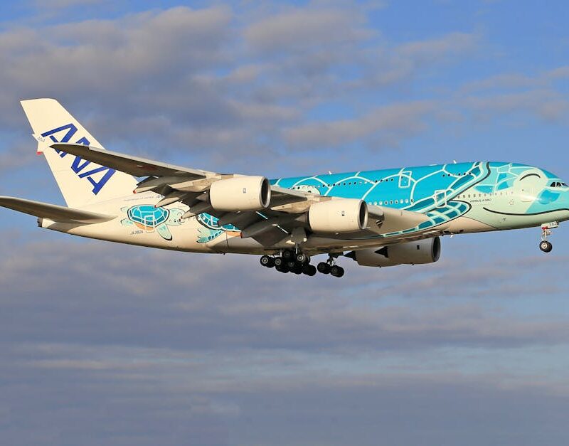 Bitkisel Protein Tarifleri: Hızlı Nohut Mercimek Yemekleri