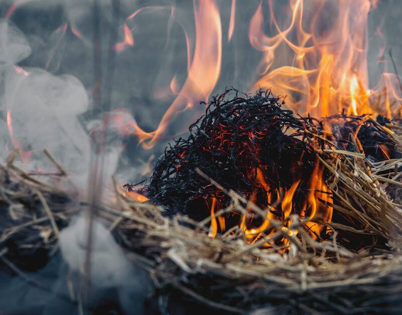 Yağ Duman Noktası Rehberi: Hangi Yağ Hangi Sıcaklık