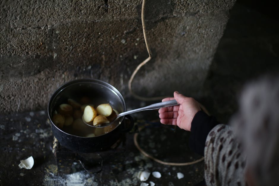 Farkli patates türlerinin nişasta içeriğini gösteren görsel