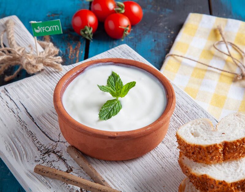 Proteinli Çorba Tarifleri: Yoğurt, Kefir ve Yumurta